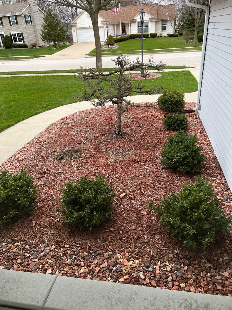 Replace Organic Mulch Annually