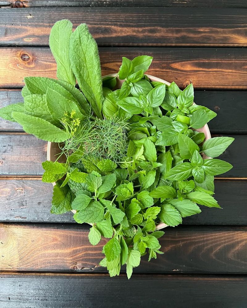 Basil + Lemon Balm