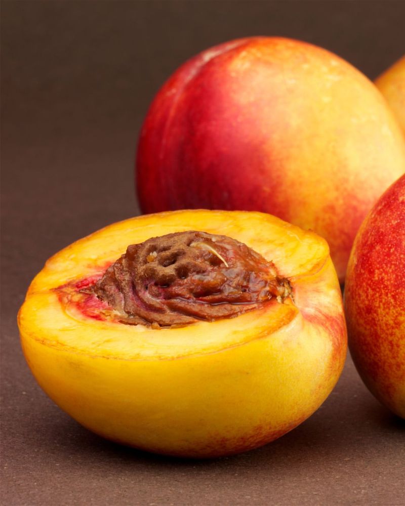 How To Clean And Prepare A Peach Pit For Germination