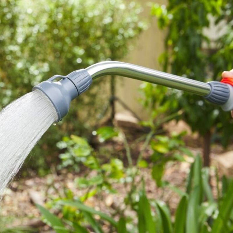 Consistent Watering Routine