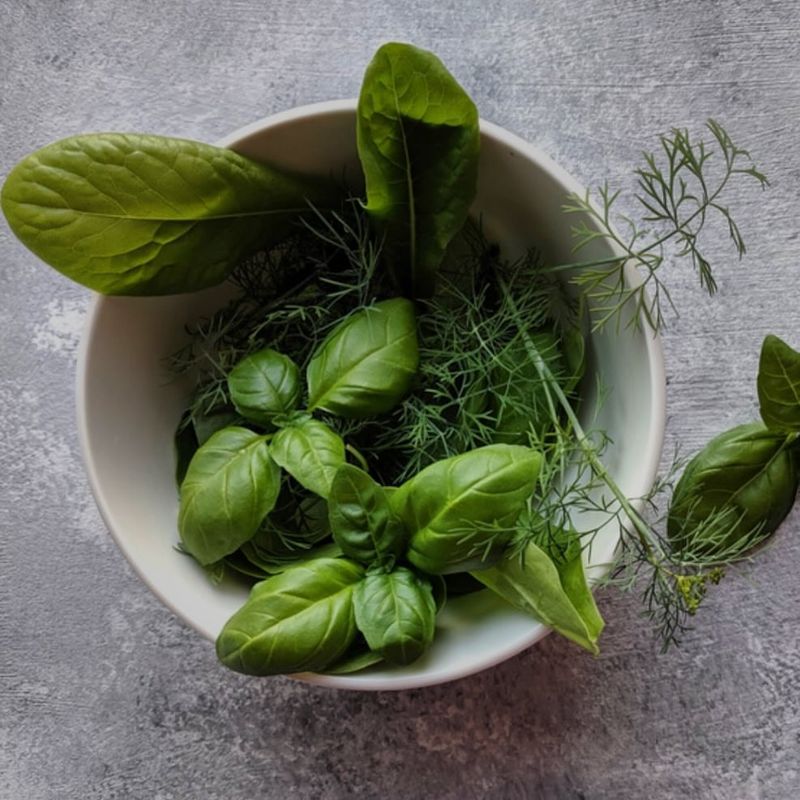 Dill + Basil