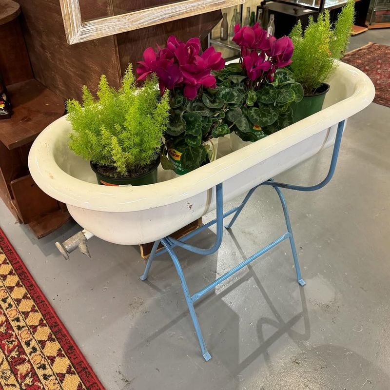 Antique Bathtub Planter