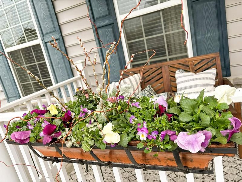 Seasonal Flower Display