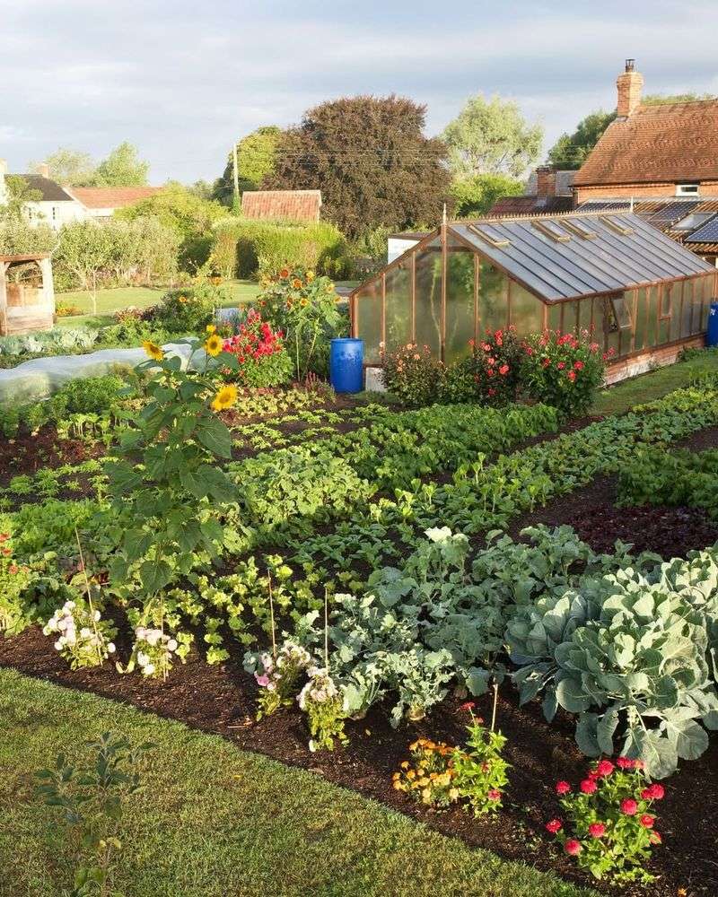 The Long-Term Benefits Of No-Dig Gardening