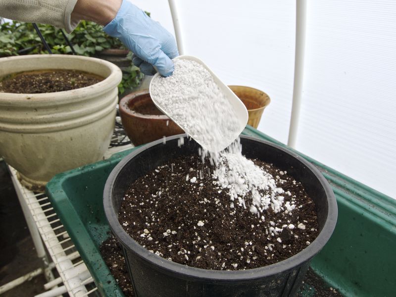 How Often To Refresh Or Replace Potting Soil