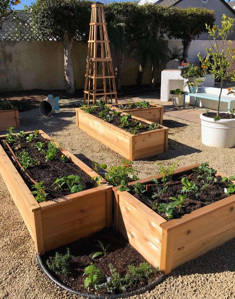 Make Use of Garden Beds' Microclimates