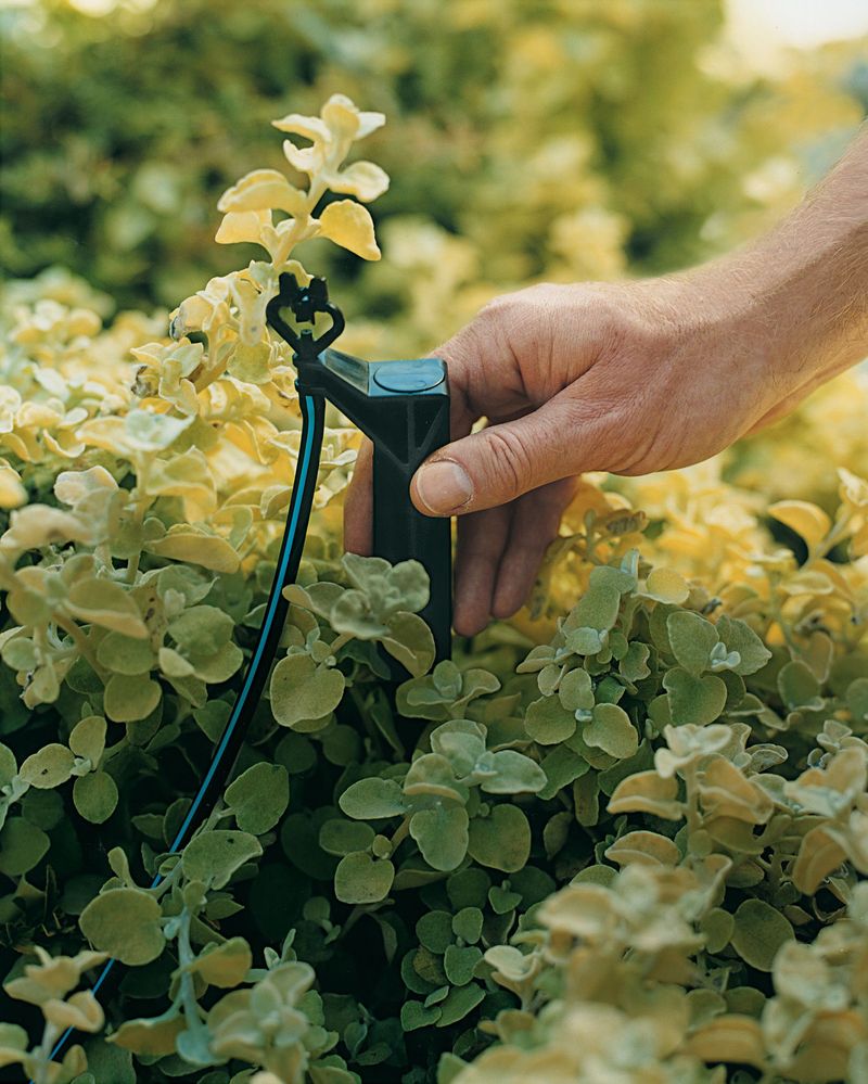 Install a Drip Irrigation System