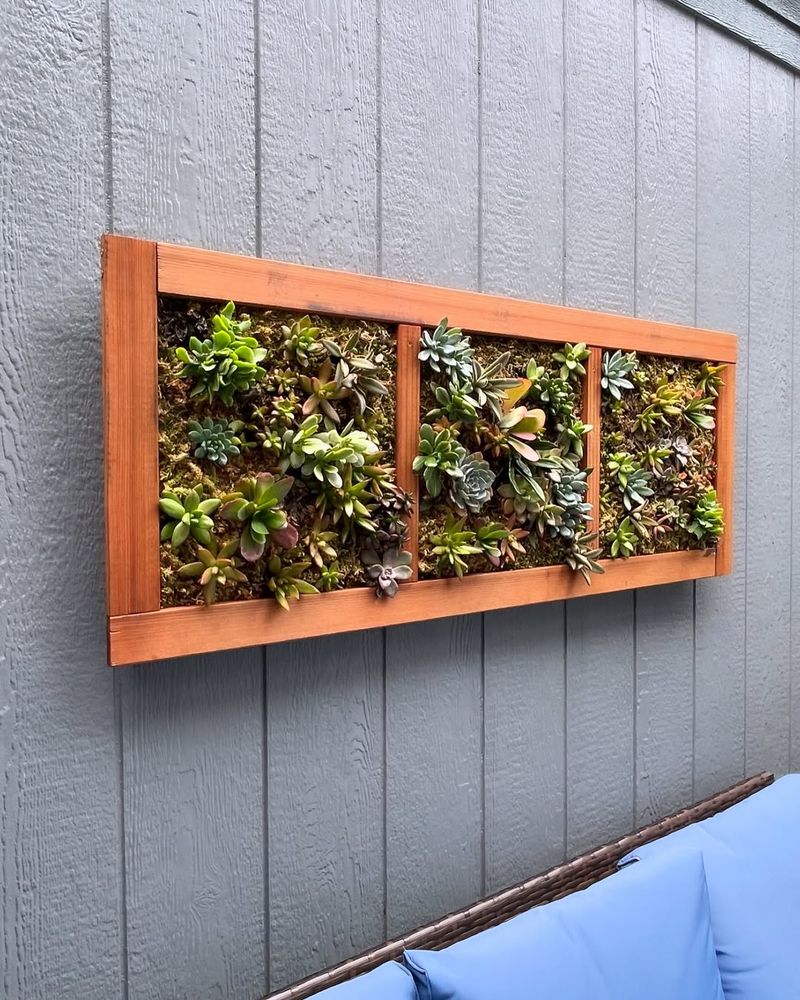 Succulent Wall Art