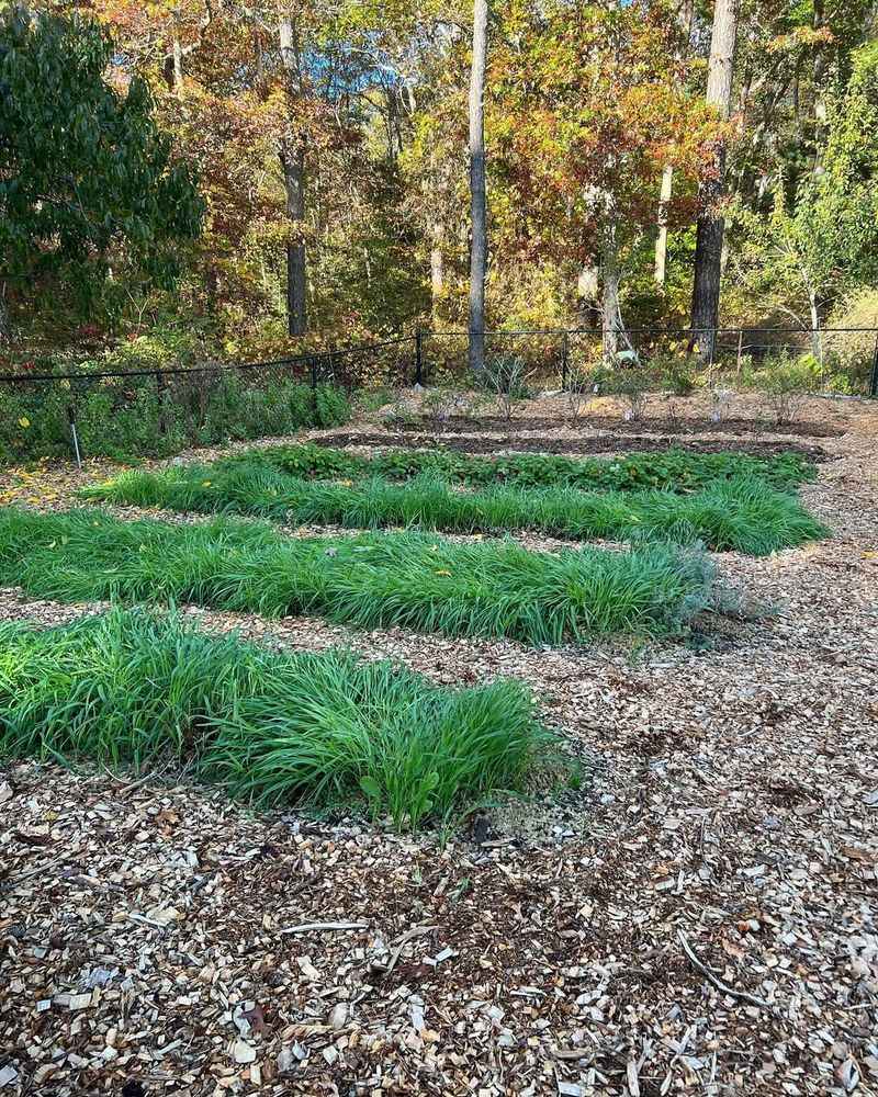 Long-Term Soil Health — Tips for Sustainable Gardening