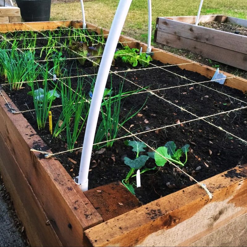 Square Foot Gardening