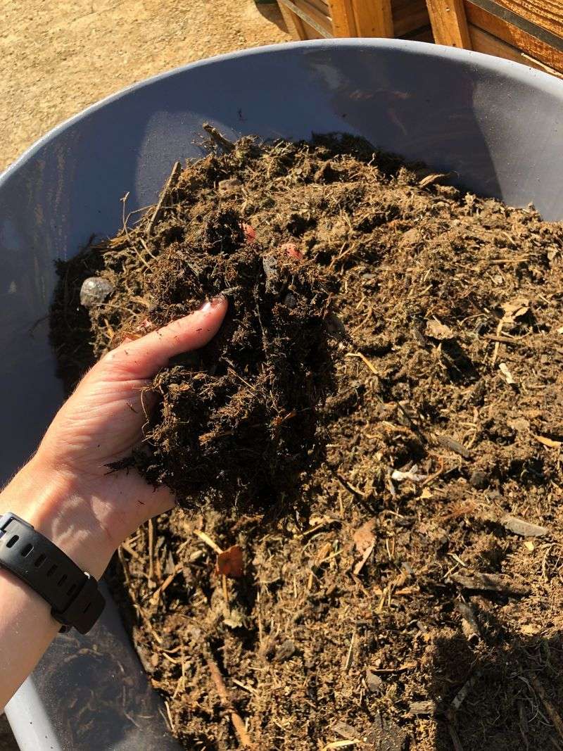 Add Finished Compost as a Starter