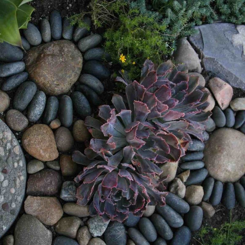 Build a Rock Garden