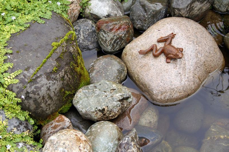 Add Rocks and Logs for Shelter