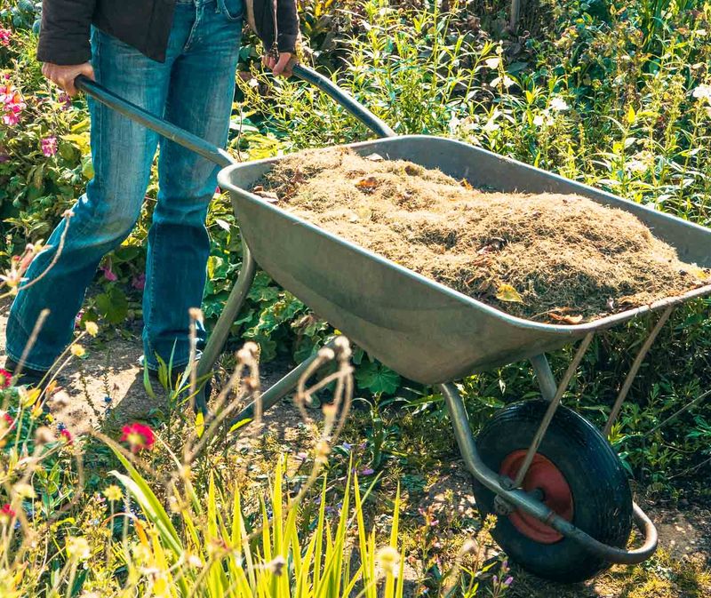 Use free mulch like grass clippings