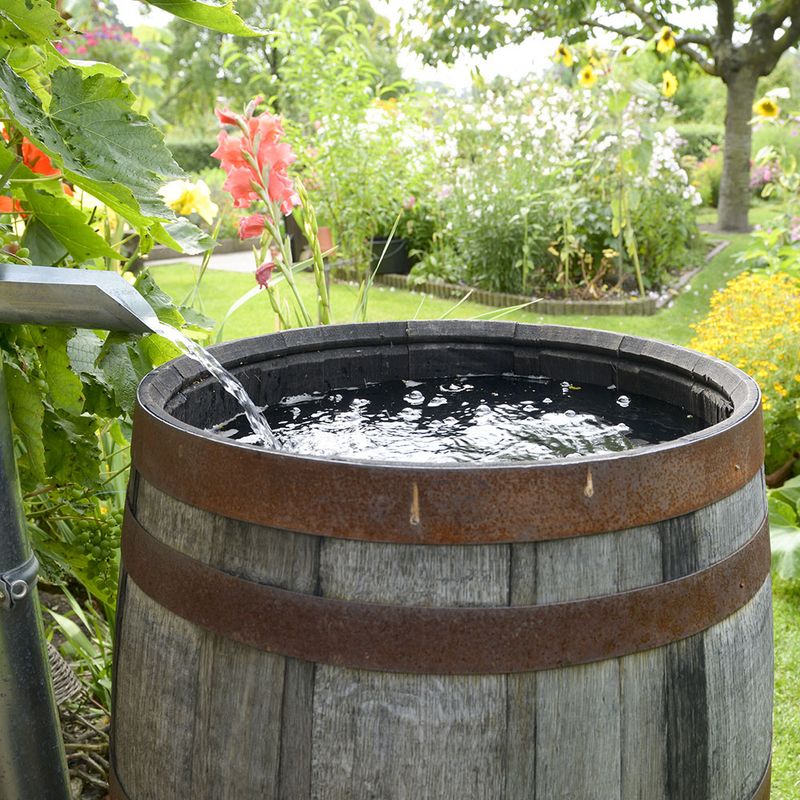 Use a rain barrel to water your garden