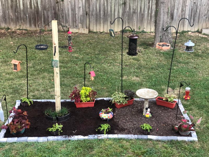 Setting Up Bird Tables