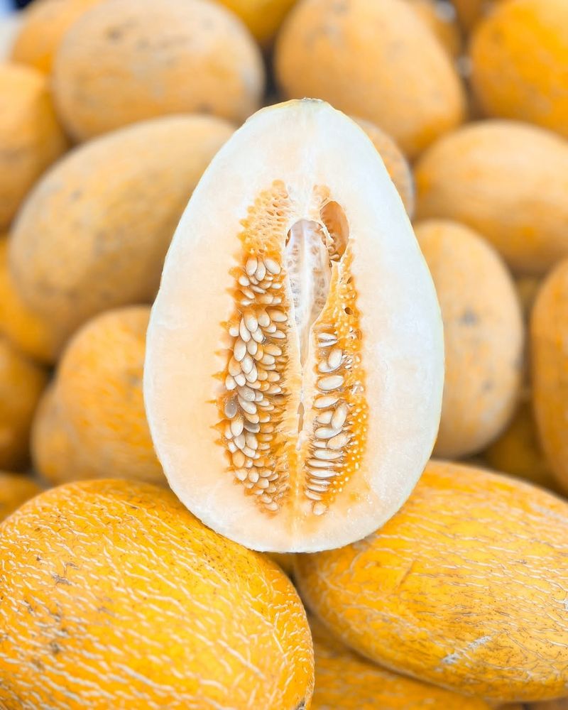 Hami Melon