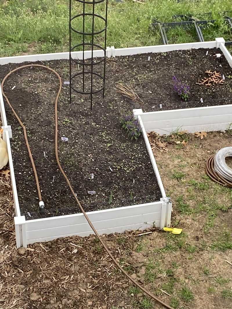 Lay Out The Tubing Along The Garden Beds