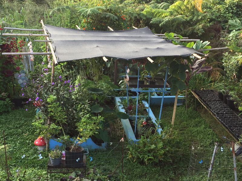 Shade Cloth Technique