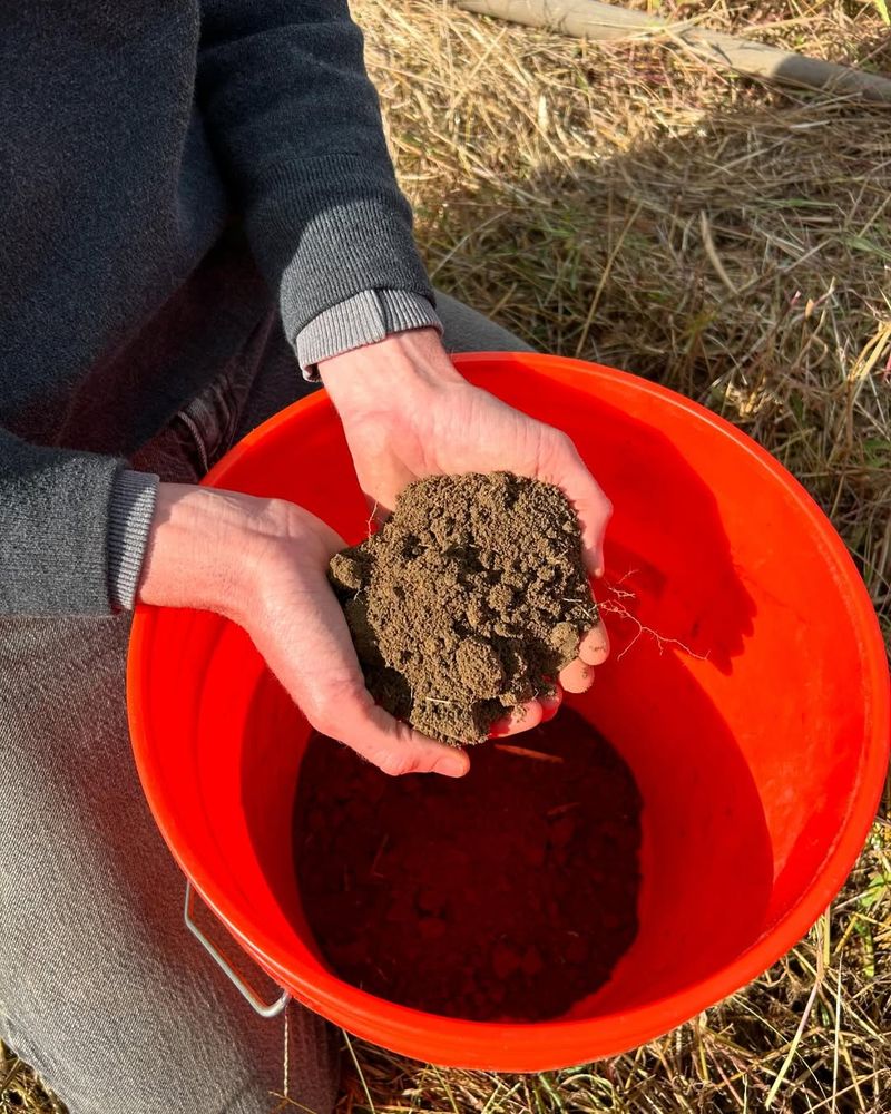How To Collect A Proper Soil Sample