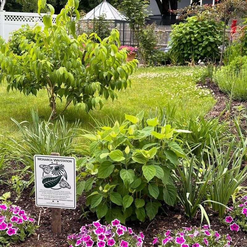 Create a Monarch Waystation