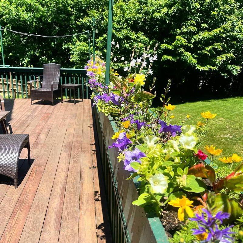 Deck with Flower Boxes