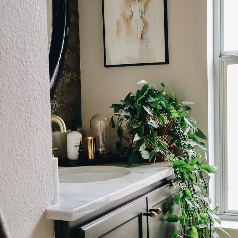 Bathroom Shelf Beauty