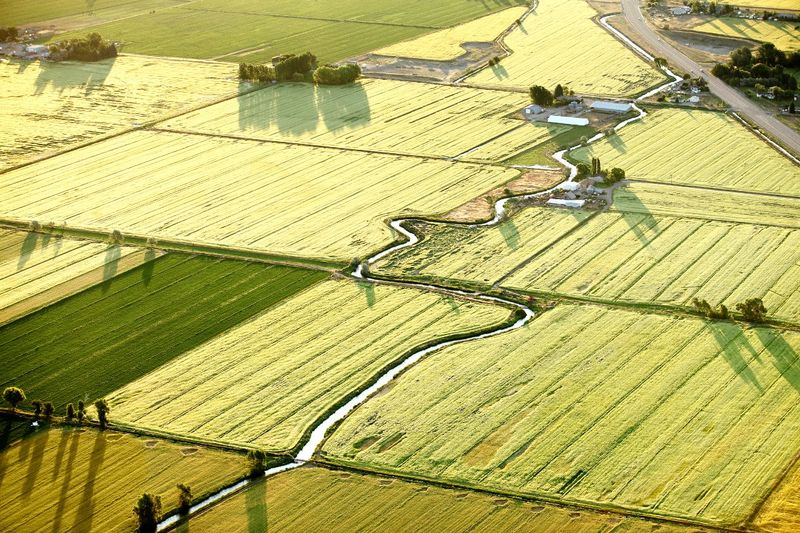 Clean Up Agricultural Runoff