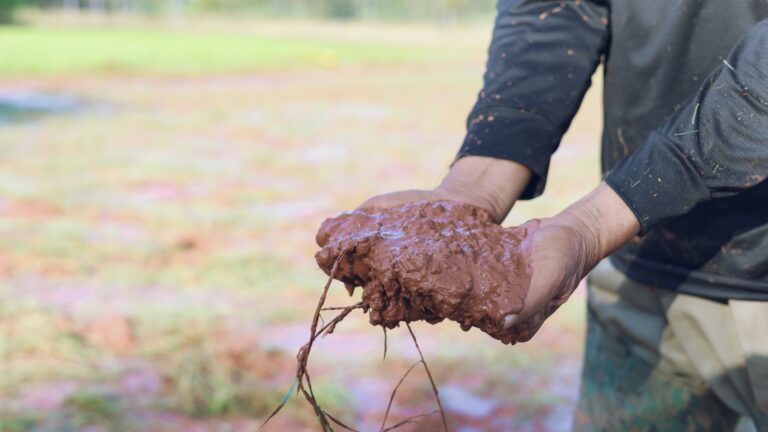 Clay soil