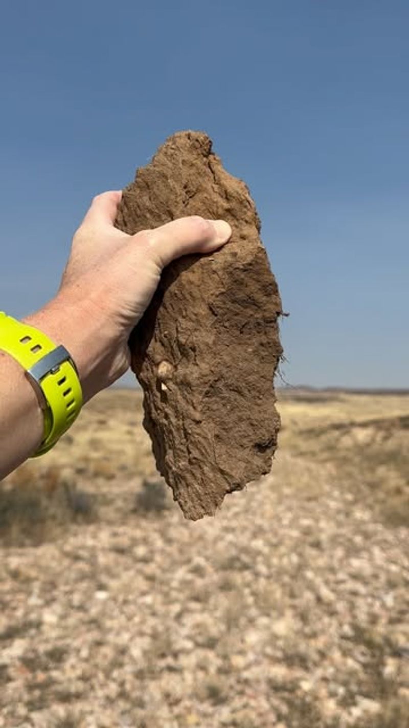 Why Soil Structure Matters For Plant Health