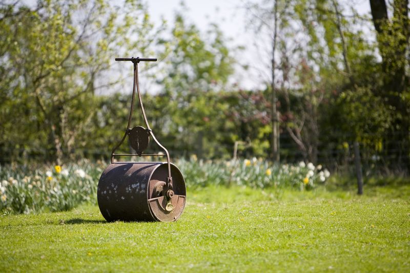 Use a Roller to Press the Seed into the Soil