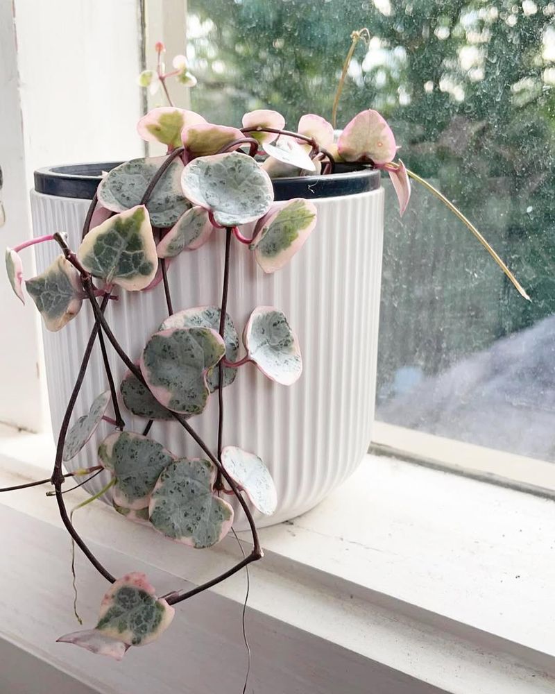 String of Hearts