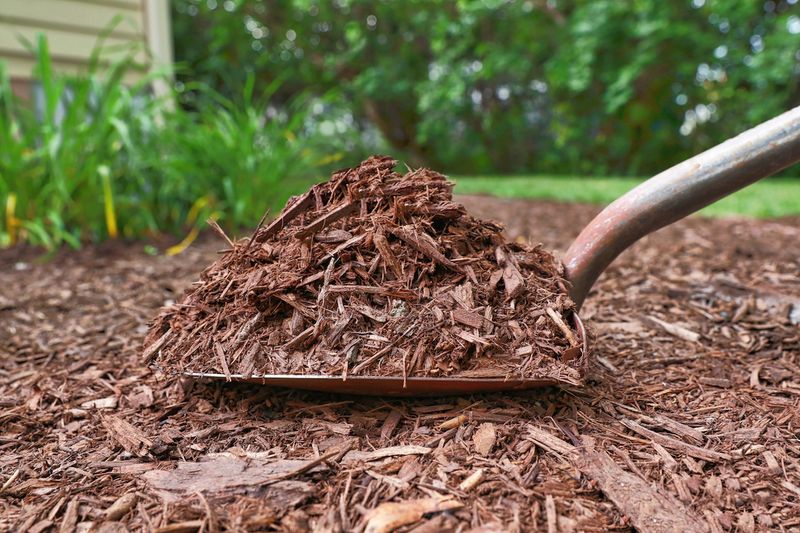 Mulch to Retain Moisture