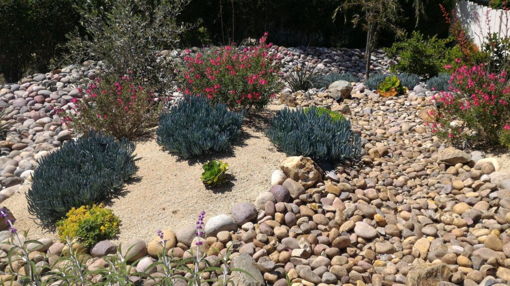 Front Yard with Dry Creek Bed