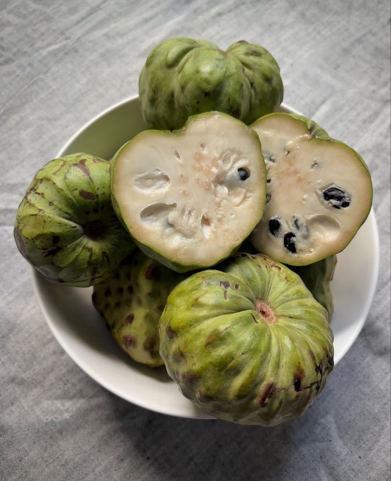 Cherimoya