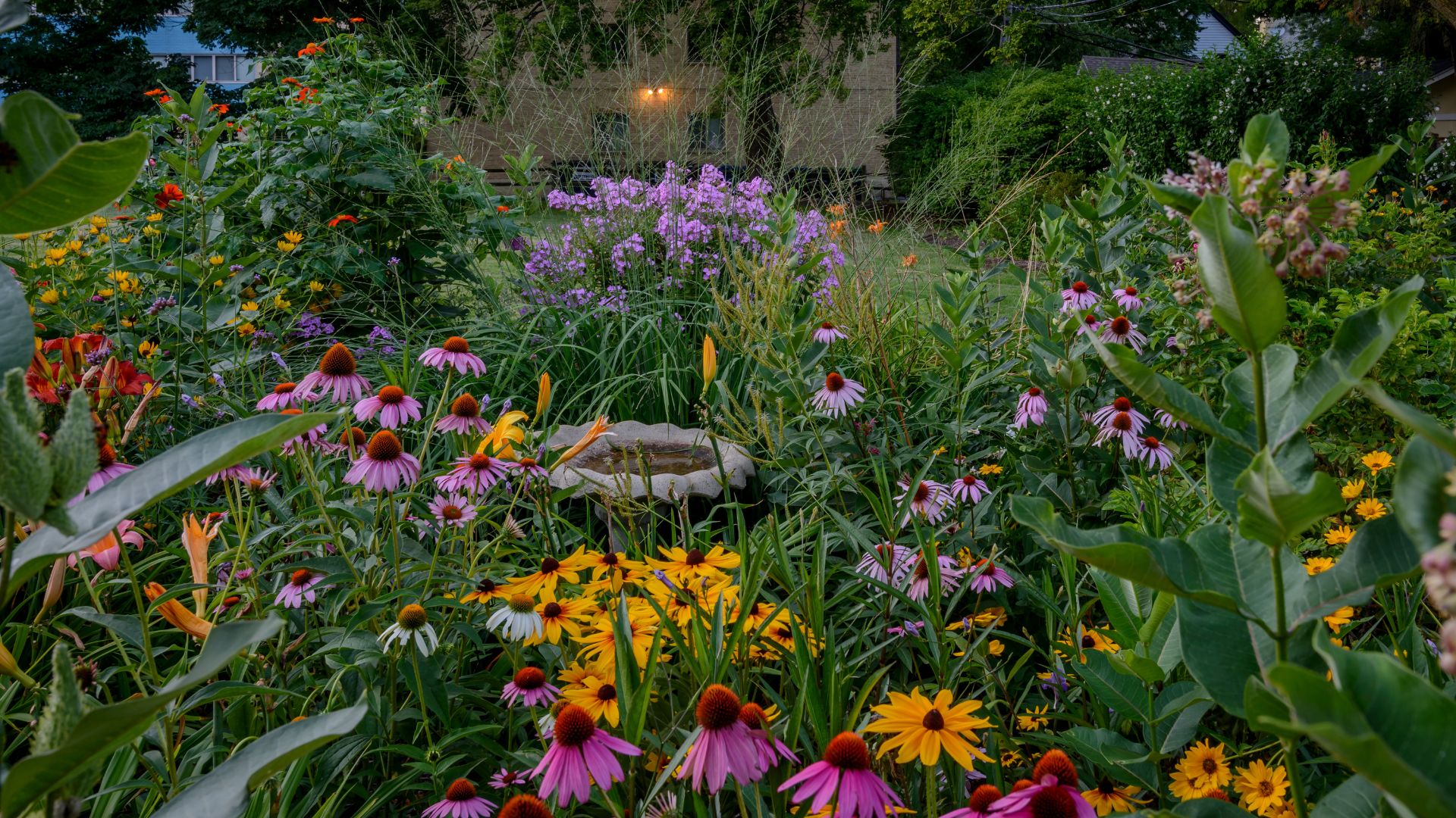 26 Easy-To-Grow Perennials For Your Cut Flower Garden (Plus Must-Have Varieties For Gorgeous Blooms)