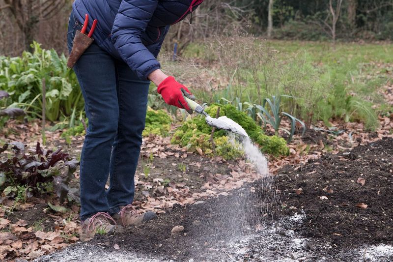 Neutralize Soil Acidity