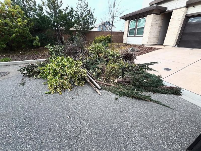 Creating Brush Piles