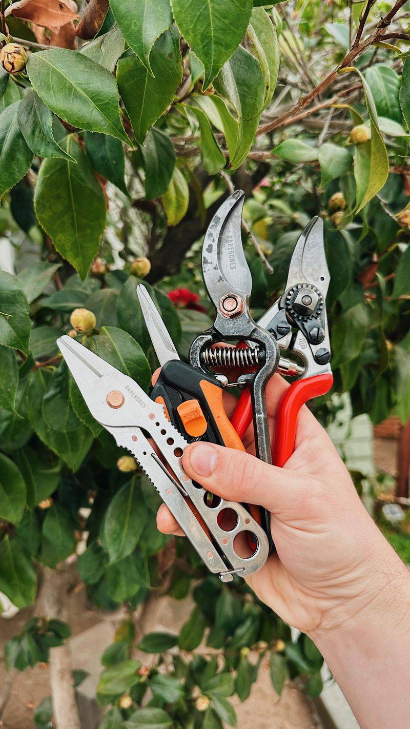 Clean Your Garden Tools