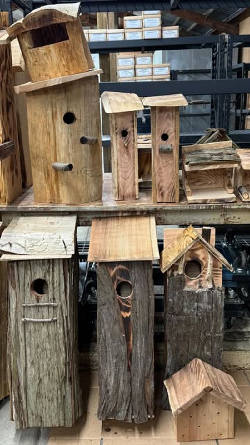 Clean The Birdhouse Regularly