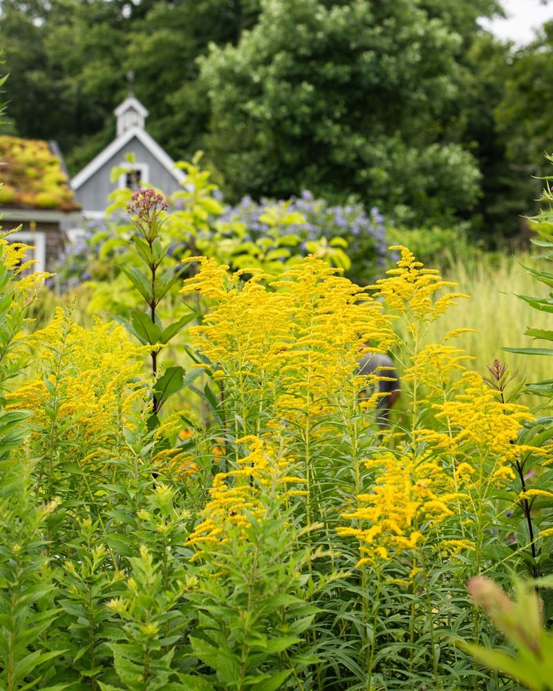 Native Plant Benefits