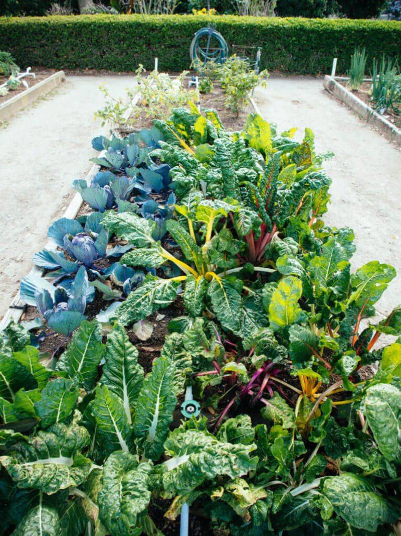 Boost Garden Yields and Crop Production