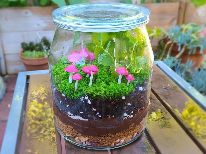 Edible Terrariums