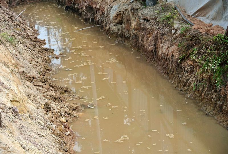 Absorb Stormwater Runoff