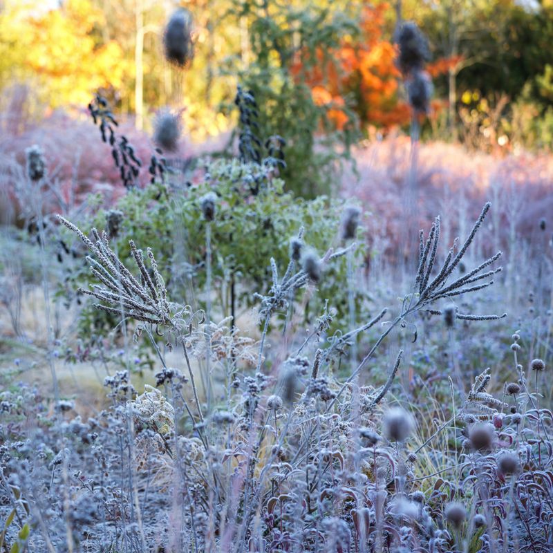 Local Gardening Resources And Extension Offices