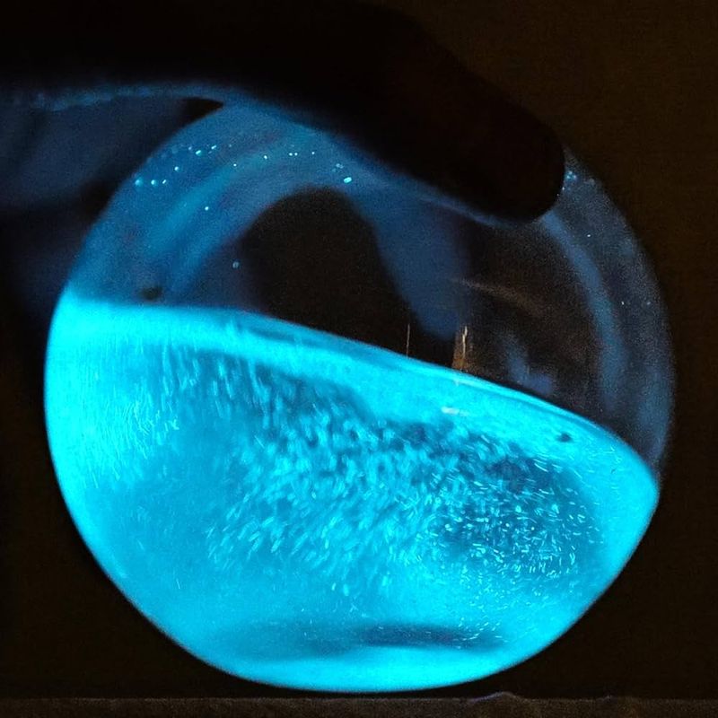 Bioluminescent Algae (Dinoflagellates)