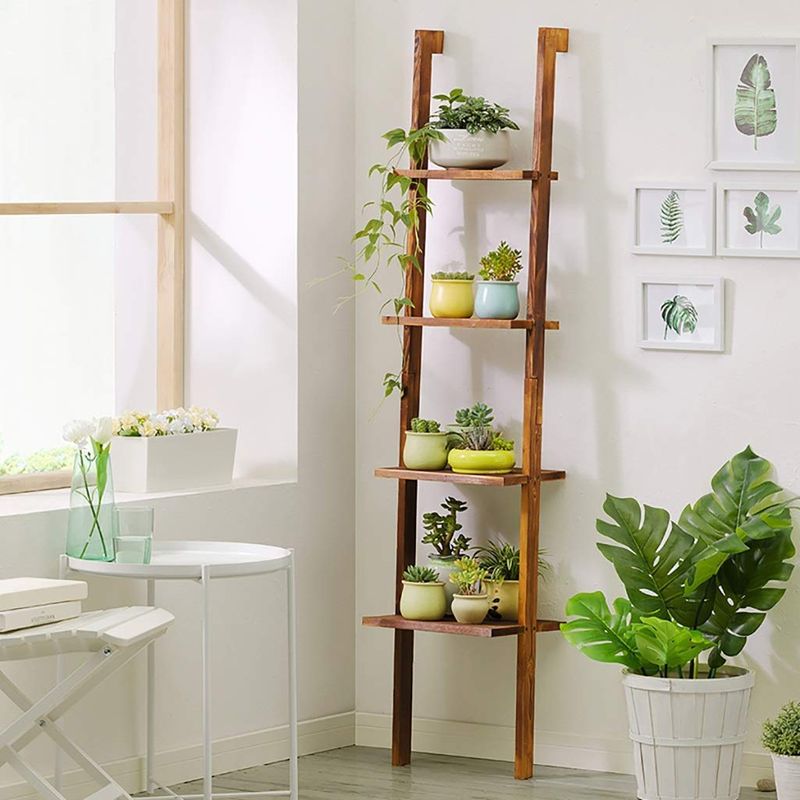 Ladder plant display