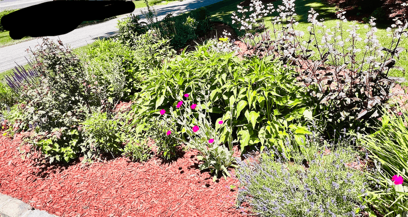 Mulch as Garden Art