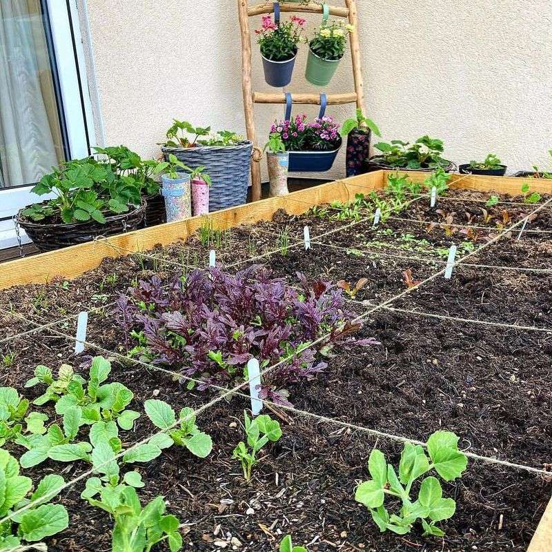 Use The Square Foot Gardening Method