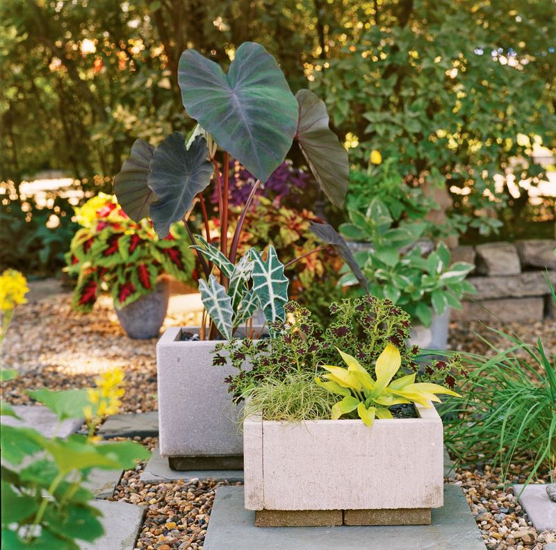 Paver Planters